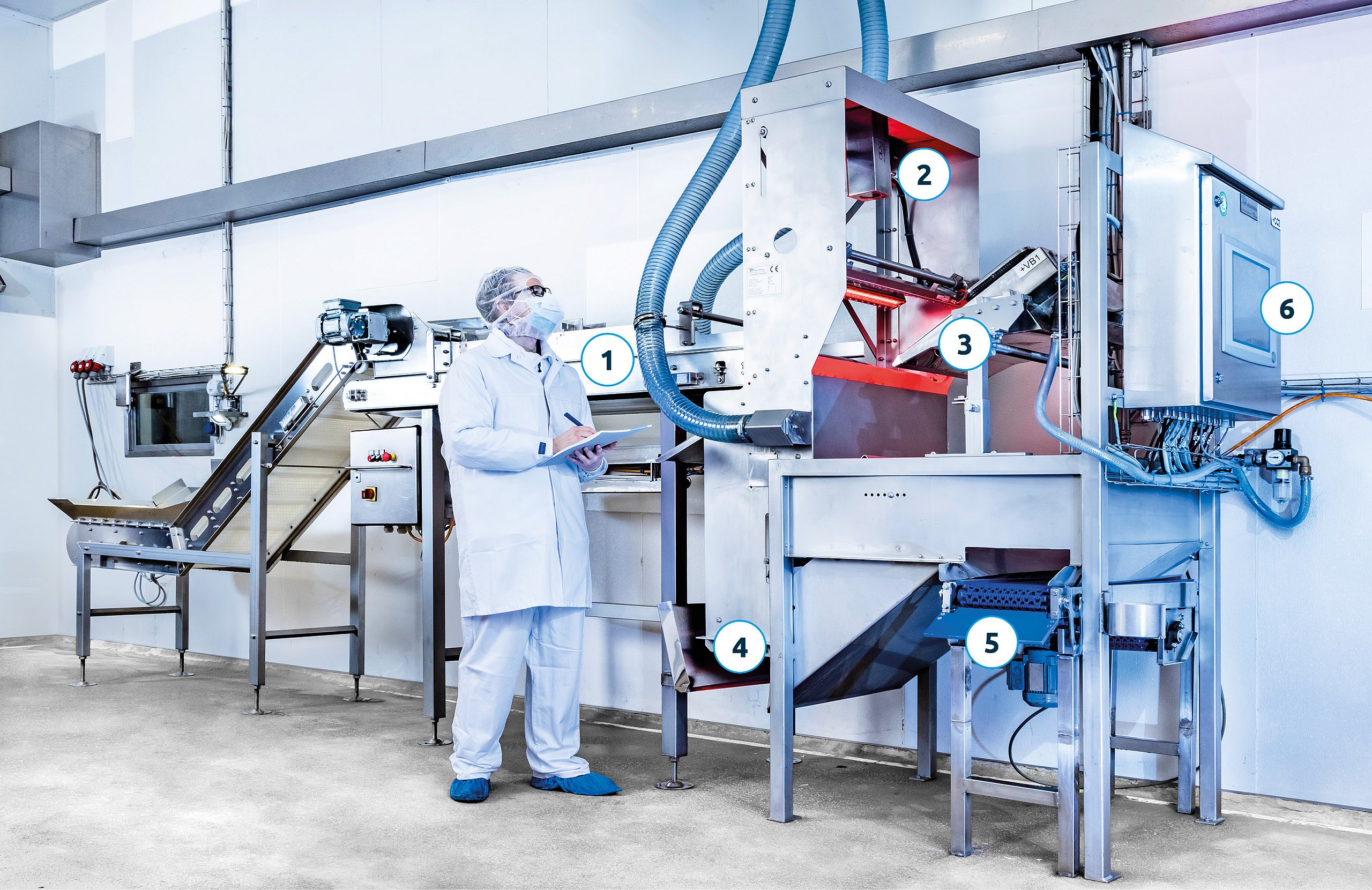 BT-Anlagenbau - Meat Sorter - Übersicht