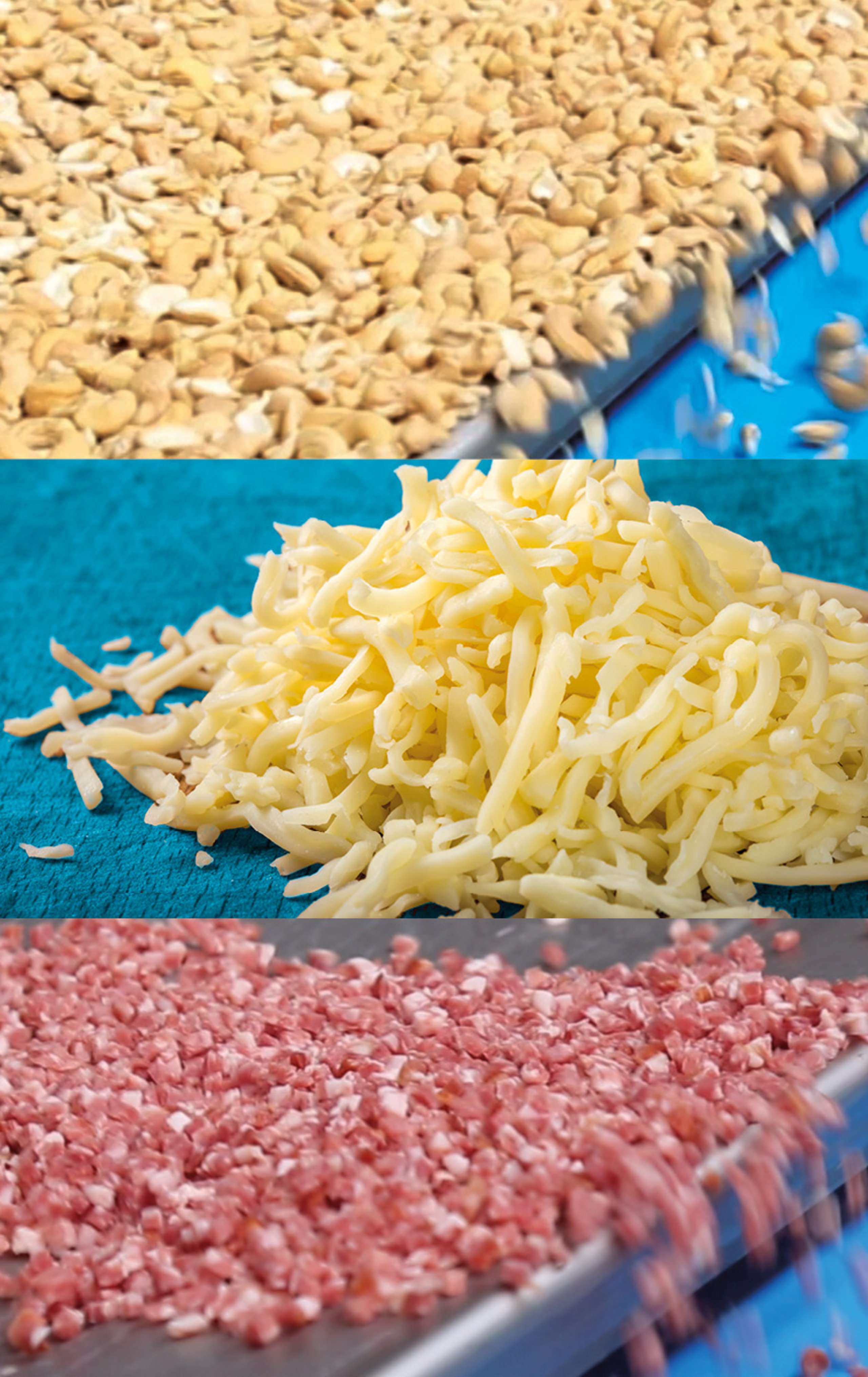 BT-Anlagenbau - Food Analyzer Beispiele
